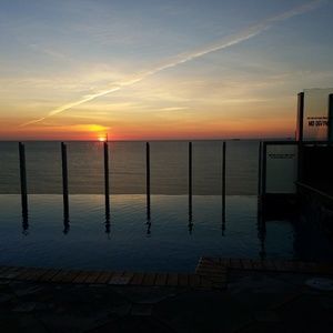 Meet your Posher, Gracie